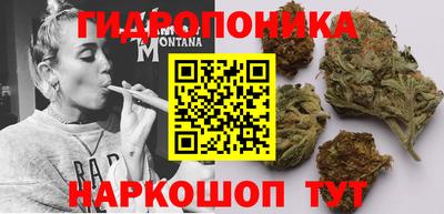 гидропоника Ливны