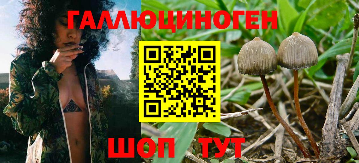Галлюциногенные грибы Magic Shrooms  Галлюциногенные грибы Magic Shrooms  Златоуст  Вход с VPN 