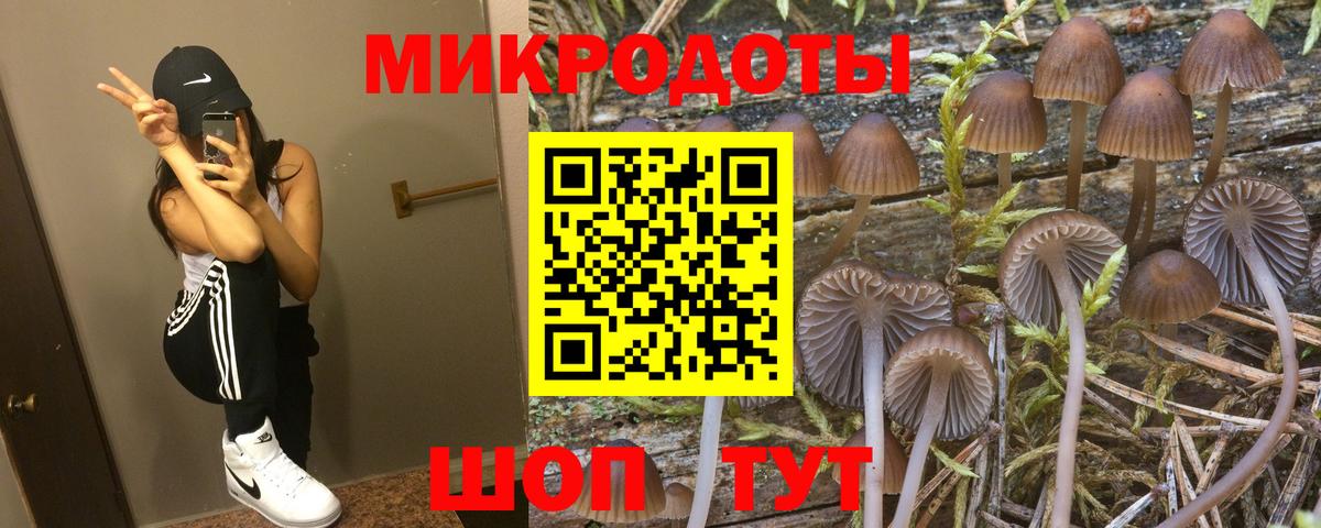 Галлюциногенные грибы мухоморы Златоуст